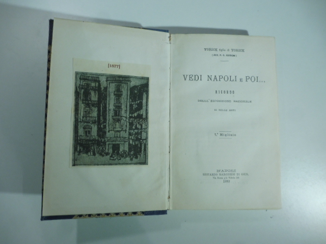 Vedi Napoli e poi… Ricordo dell'Esposizione nazionale di Belle Arti